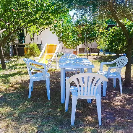 Casa Vacanze Romana - Fronte Mare * סניגליה